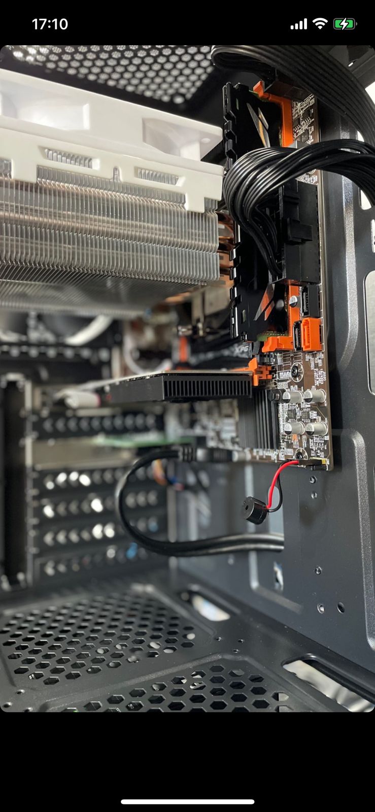 WhatsApp Image 2022-12-02 at 17.10.53.jpeg