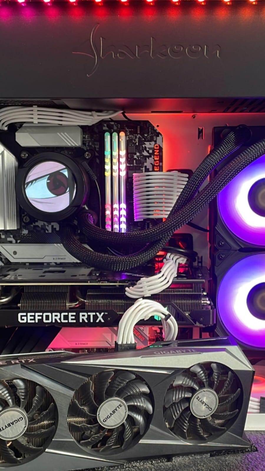 WhatsApp Image 2024-02-27 at 10.01.03.jpeg